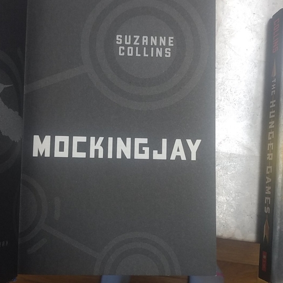 The Hunger Game Series - Picture 3 of 4